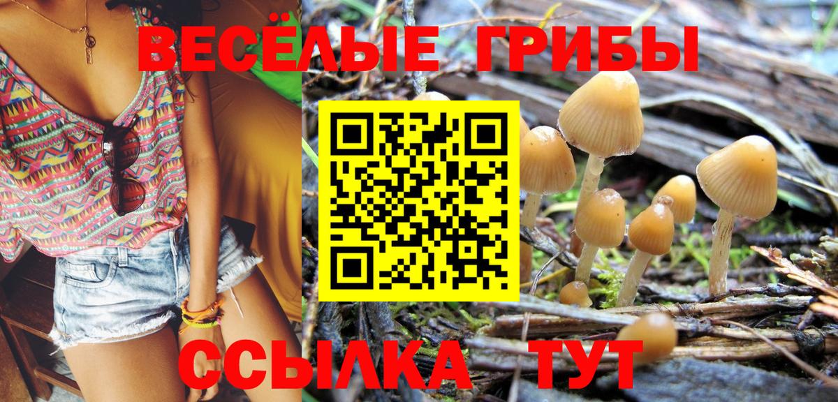 Псилоцибиновые грибы MAGIC MUSHROOMS Губкин