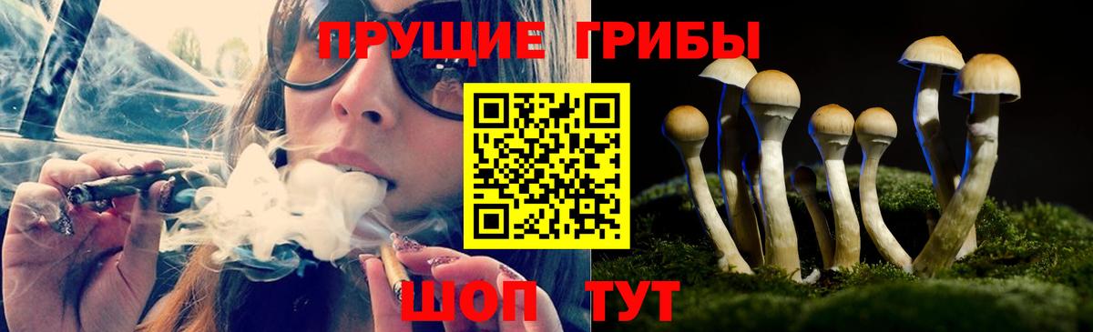 Губкин  Псилоцибиновые грибы мухоморы  Вход с VPN 